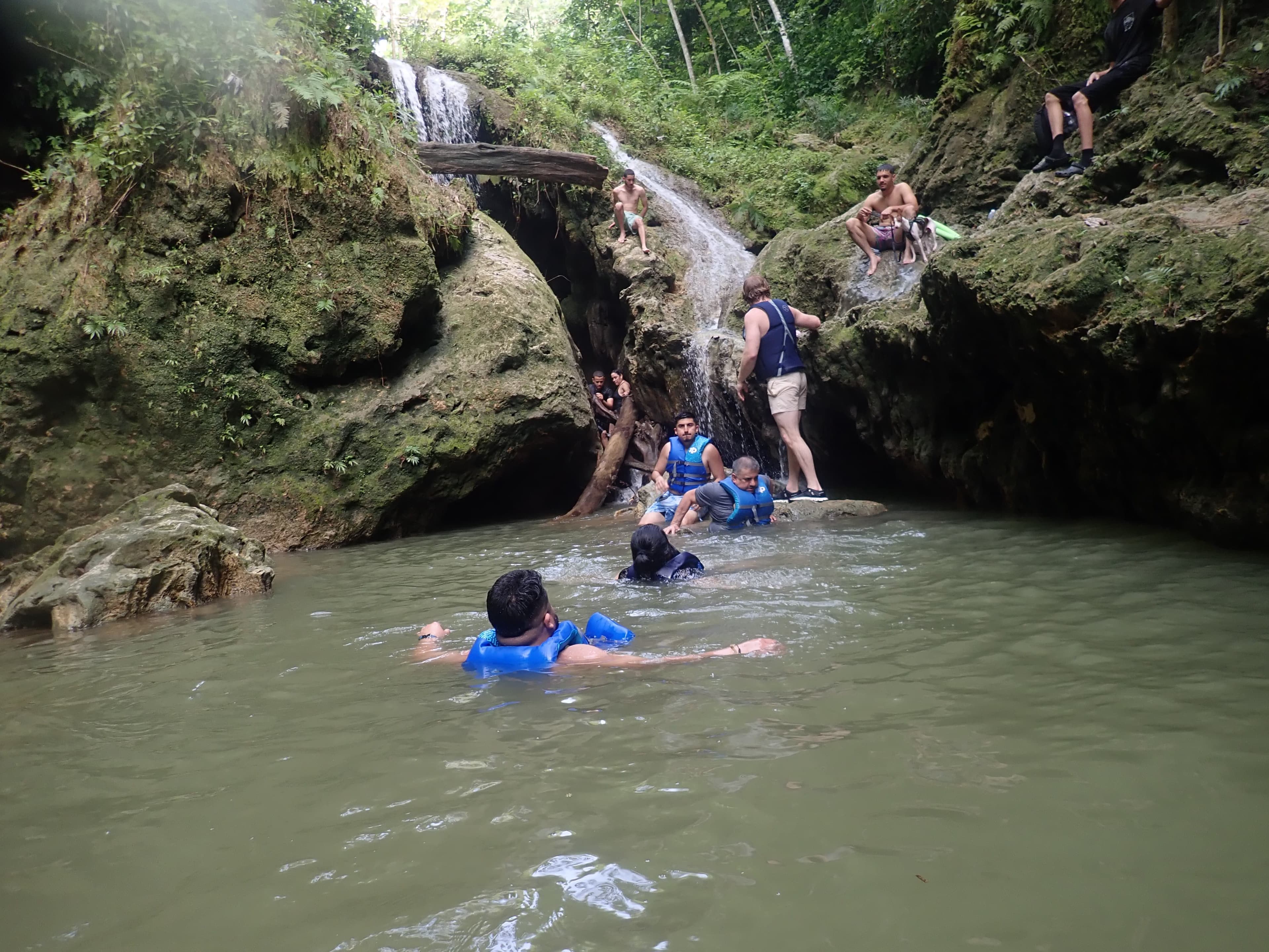 Swimmers in a jungle waterfall pool