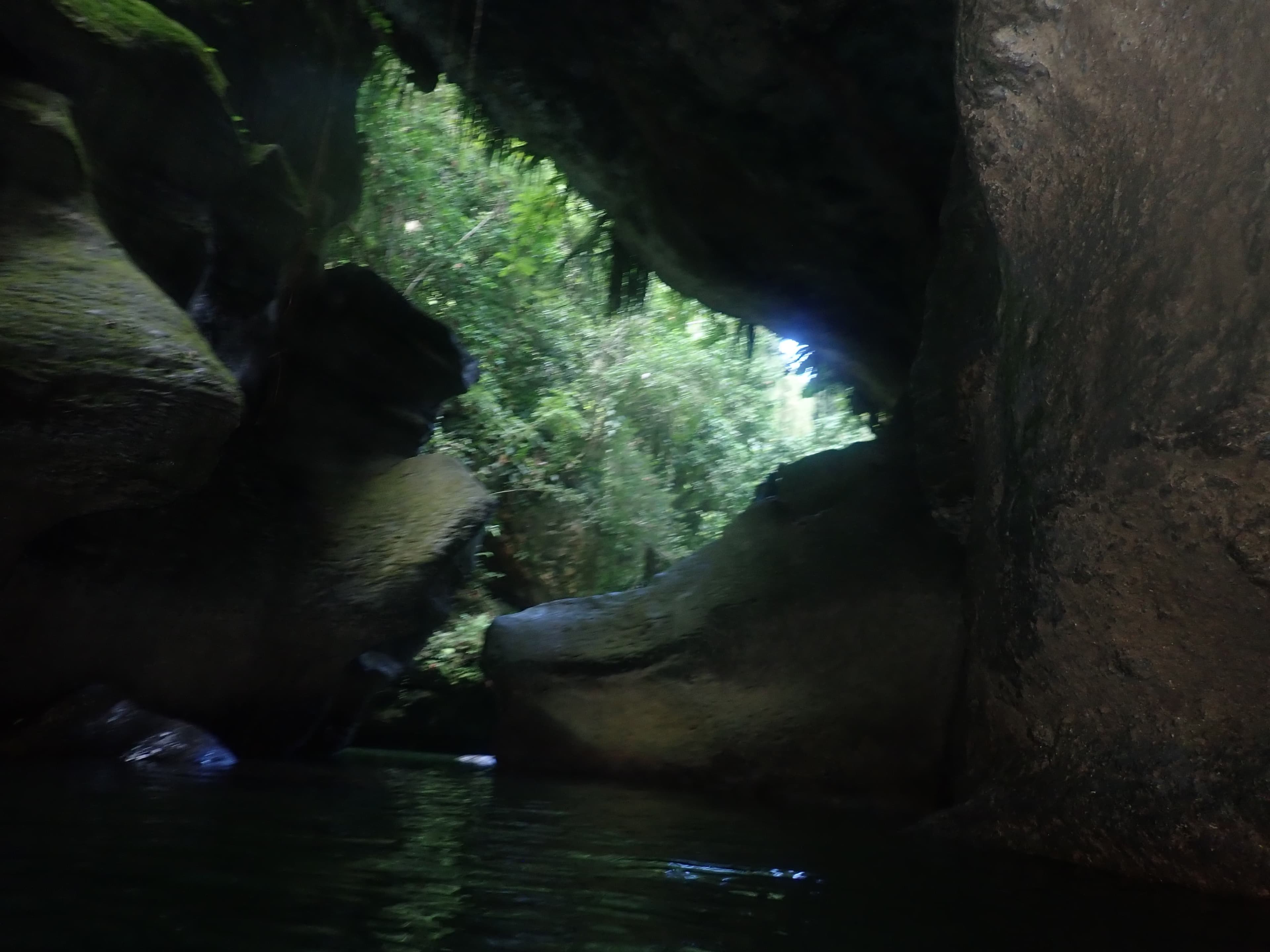 Looking out of a river cave towards the forest