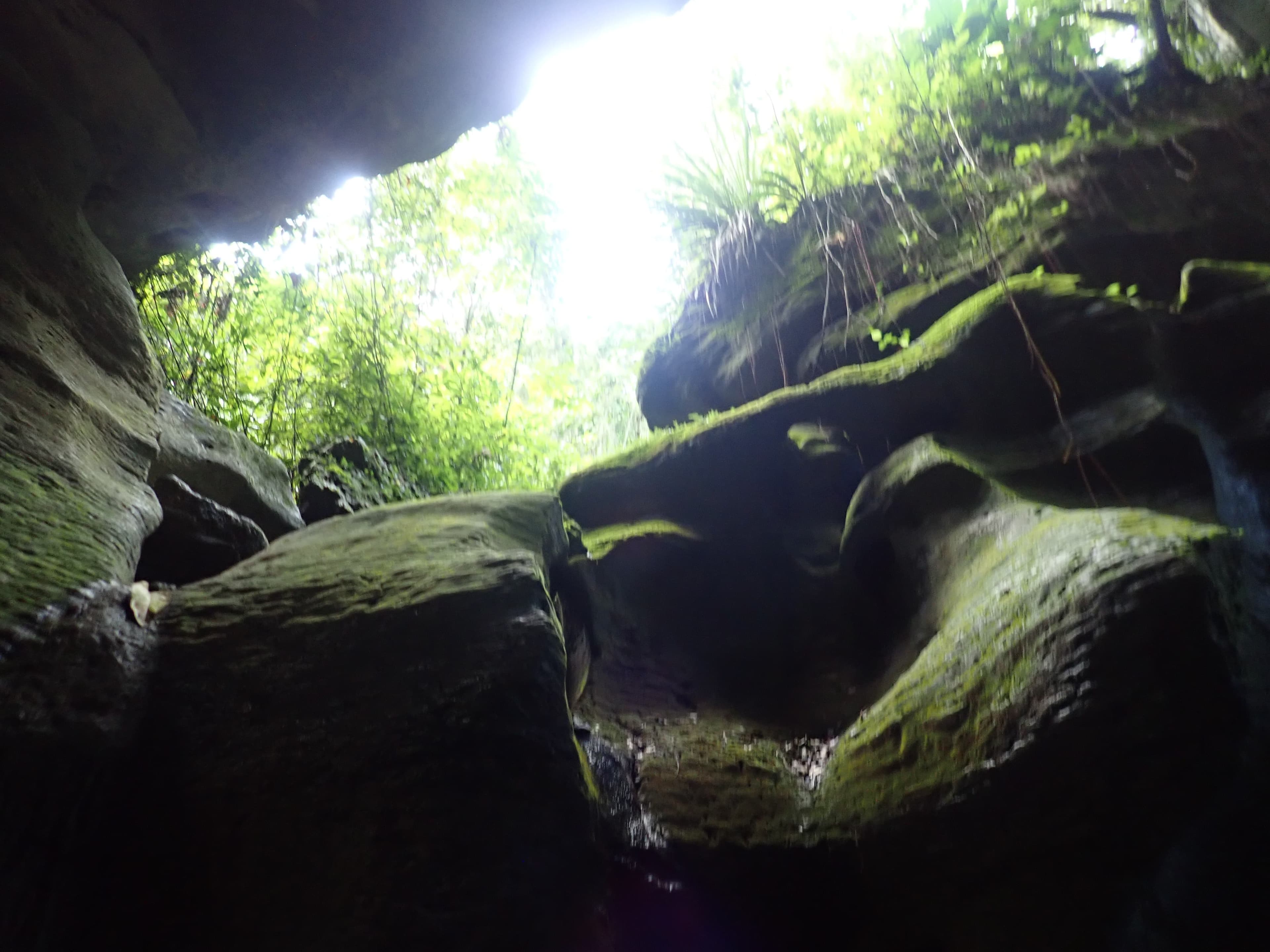 Mossy boulders at a cave mouth open to the forest