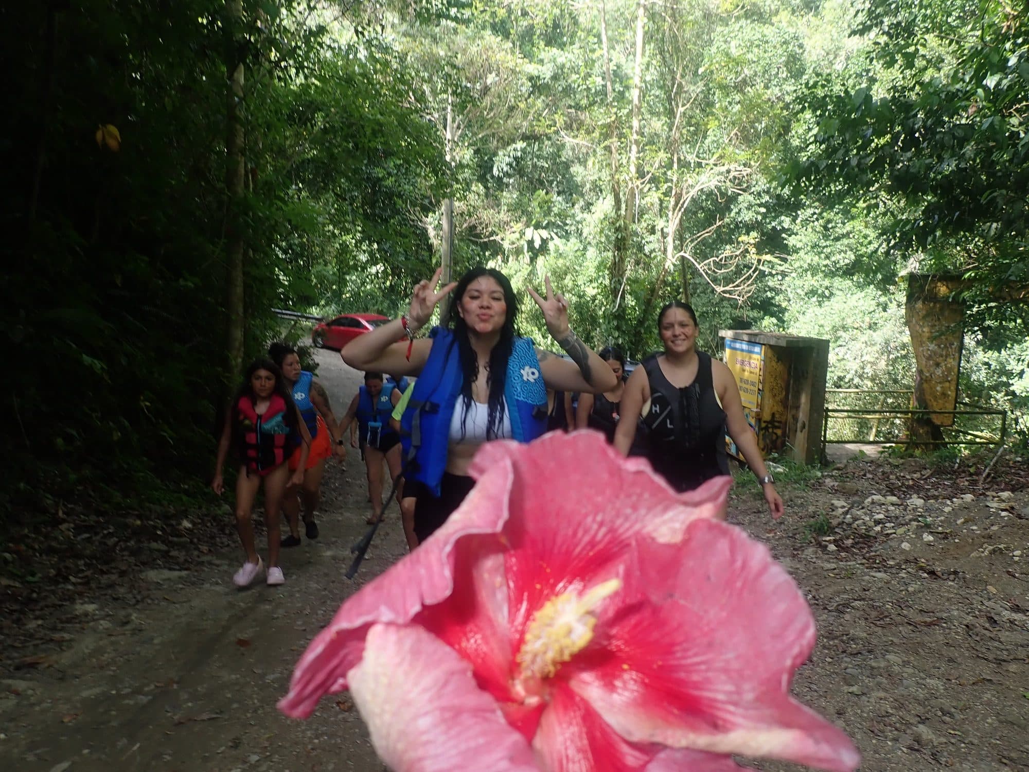 Hibiscus flower with the tour group walking the trail behind