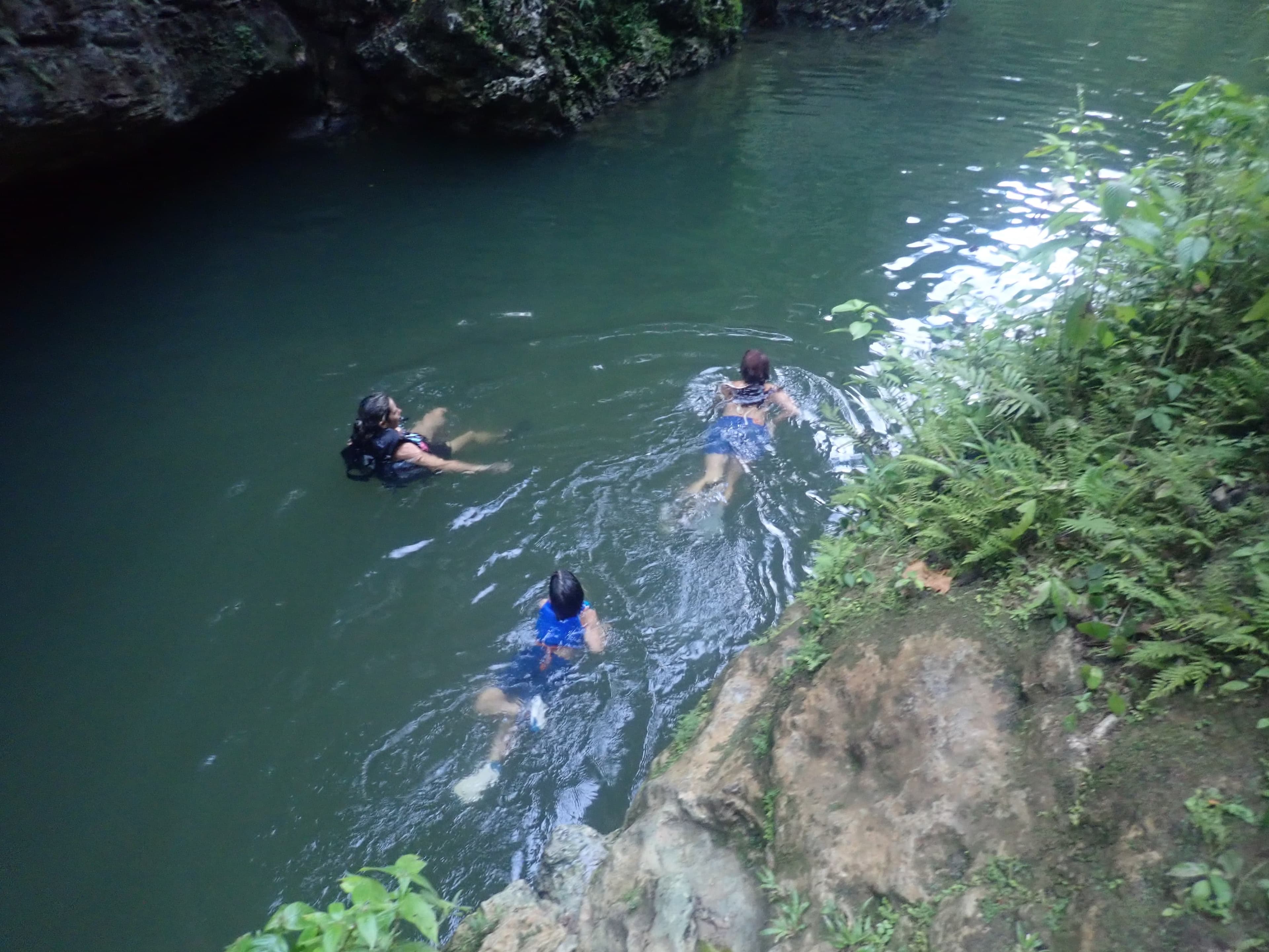 Swimmers crossing a green jungle pool