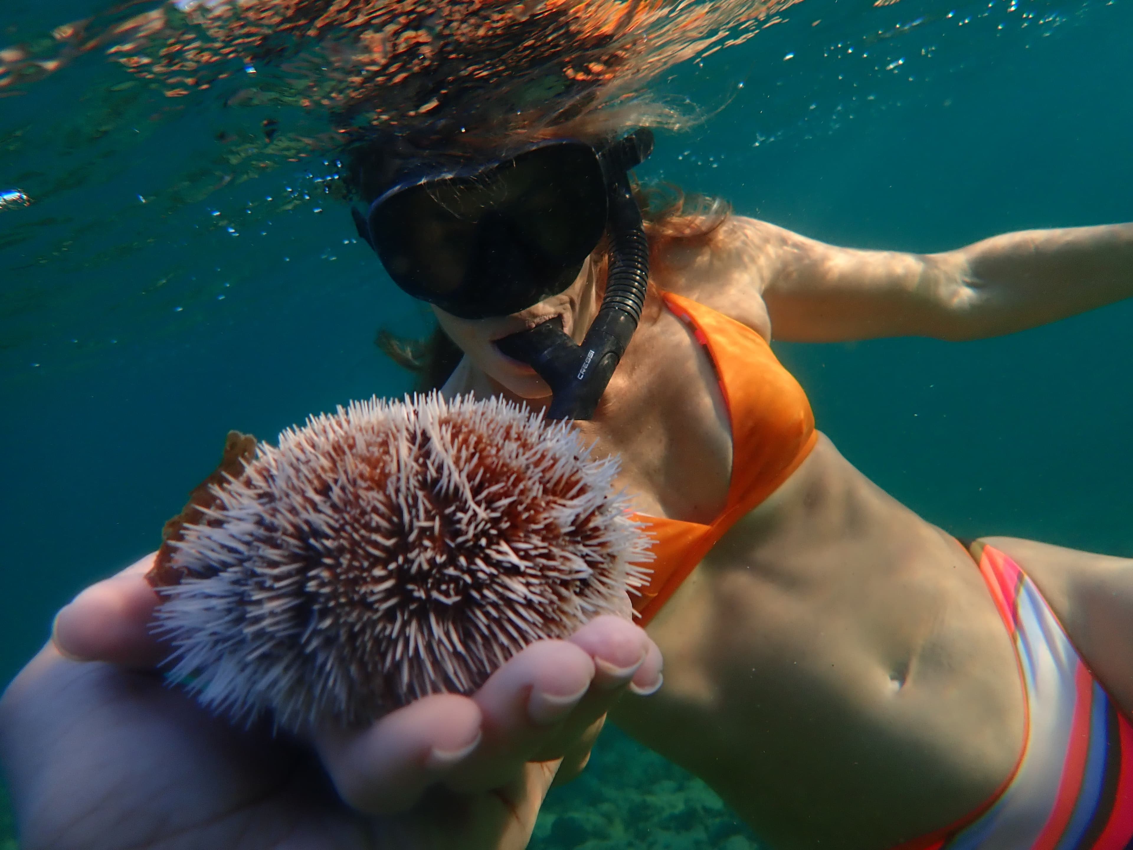 Snorkeler holding a sea urchin